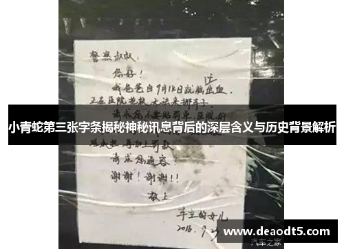 小青蛇第三张字条揭秘神秘讯息背后的深层含义与历史背景解析