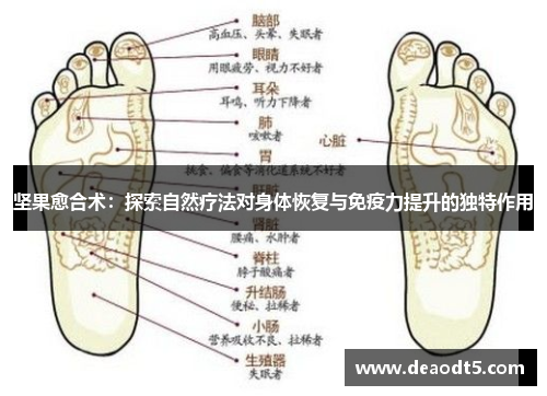 坚果愈合术:探索自然疗法对身体恢复与免疫力提升的独特作用